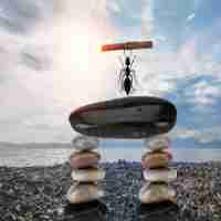 怎​么‌加‌快‌网﻿站‌访‌问‍速​度‌